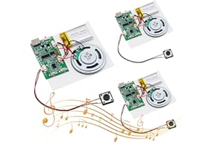 USB audio Modulo AYWHP 3PCS Type-C Modulo chip audio MP3 con batteria ricaricabile,altoparlante Per carte, regali, giocattoli