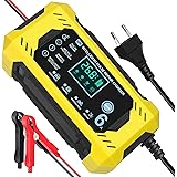 Caricabatterie Auto,TIPOW-TECH Carica Batteria per Auto di Carica 6A/12V Multi Protezioni di Carica Automatico Caricatore Int
