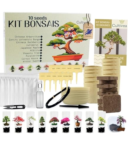 Kit Da 10 Attrezzi Per Bonsai – Forbici, Tagliamanopole E Rastrello In Acciaio Al Carbonio, Con Custodia In Nylon