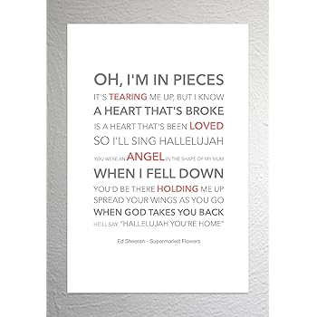 Supermarket Flowers Ed Sheeran Song Lyrics Typography Print Poster Artwork Indian South Asian Tapestries Home Garden Worldenergy Ae