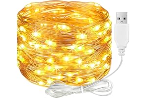 ALEGRE LED Lichterkette mit USB, 2M 20 LED Kupferdraht Lichterkette mit Stecker, Wasserdicht Warmweiß Lichterketten Innen Außen, Lichterketten LED für DIY Hochzeit Deko,Weihnachten,Balkon,Schlafzimmer