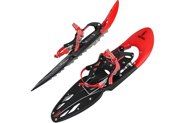 ALPIDEX Raquette Neige 38-46 Jusqu'à 140 kg Sac Transport Bâtons Optionnel