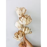 Vanchai Natural Dried, Dried, Vase Filler for Home, Office, Bedroom, Table Corner Decoration, DIY Craft ? Set of 5 (Almond So