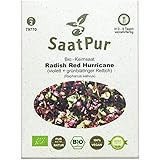 SaatPur Bio Keimsprossen - Radies Red Hurricane - Sprossen, Microgreens - 30g