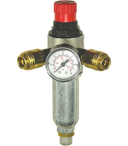 Sistemi Di Trattamento Dell'aria Compressa. Filtro, Regolatore E - Foto 2