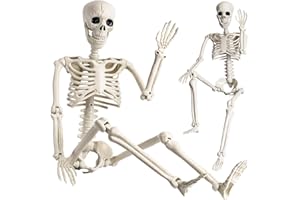 LEVVUE Halloween Skelett, 90cm 2 Stück Realistisches Ganzkörper Skelett mit beweglichen Gelenken für Party Requisiten Gruseliger Friedhof Geisterhaus Rasen Garten Dekoration