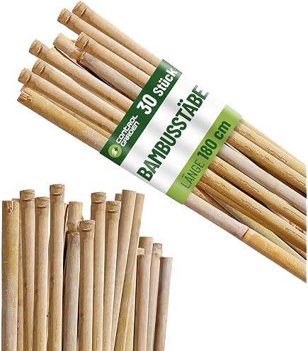 50 Bambusstäbe 152 Cm Lang, 10-12 Mm Dick - Für Pflanzen, Insektenhotels & Rankgitter