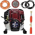 OEM Portable Power Pressure Sprayer Pump with 4 Stroke Advanced Technology Petrol Engine, Spray Gun, 15 Meter Hose Pipe for Pesticides, Agriculture Use, Gardening - GX-35