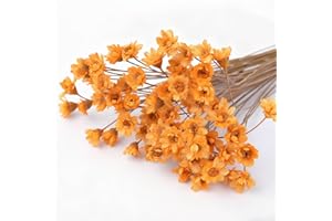 RUGBOL 100 Ramas de Pequeñas Flores Estrella Amarillas, Flores Estrella Brasileñas para Manualidades, Resina, Scrapbooking, Creación de Joyas y Decoraciones Florales