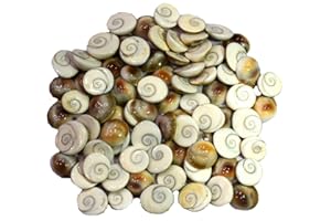 Siddhratan 21 Pieces of Gomti Chakra For wealth health success Worship Wicca Magic