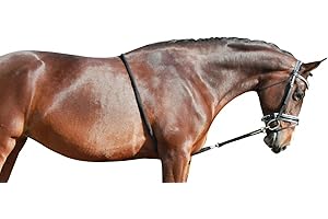 QHP Enrênement pour Cheval pour Aide à la Longe