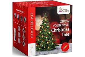GROW BUDDHA Grow Your Own Xmas Tree – Grow 4 Different Types of Christmas Tree at Home Beginner Friendly Tree Growing Starter Kit with Complete Instructions