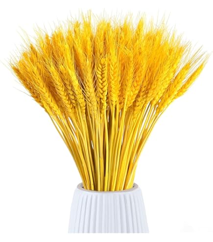 Amazon.de: creativ home Knstlicher ROGGEN in Trockenblumenoptik. Getreide  ca 79cm. Knstliches Korn, Weizen. BRAUN