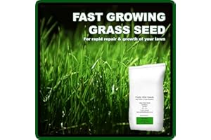 Fast Growing Rapid Lawn Recovery Grass Seed Amazing Quick Repair Pets Dogs by Pretty Wild Seeds (1kg)