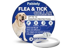 PAISTELY Collar Antiparasitario Perros, Seguro y Eficaz Collar Antipulgas Perros Hecho de Aceites Esenciales, Collares Antipulgas para Perro de 12 Meses de Eficacia para Perro de Todos Los Tamaños