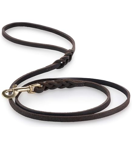 JACK & RUSSELL Hundeleine „Lucy“ 1,5m Aus Weichem Büffelleder – Robuste Führleine Mit Edelstahlkarabiner In Petrol