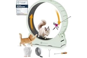 MIWOOYY Rueda para Gato Grande 100cm - Rueda Ejercicios de Gatos de Madera Maciza Natural de Interior, Cinta de Correr de Seguridad para Gato con Cerradura y Diseño de Brecha Minimizada (Verde)