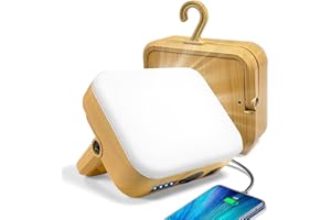 MELQUE Lampada Campeggio Led Ricaricabile,6000 mAh 1000 lm IPX6 lampada da tenda impermeabile con 4 modalità di illuminazione per interruzioni di corrente, escursioni, tenda, campeggio