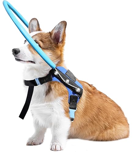 Blinde hondenhalo - Anti-botsingsring voor huisdieren, halo-harnas voor blinde honden en katten om vertrouwen te beschermen en op te bouwen, kettingvest, accessoires voor blinde huisdieren. cypreason