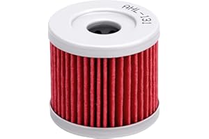 AHL-Motocicletta Filtro Olio per HYOSUNG GV125 AQUILA 125 2000-2008/AN400 BURGMAN 400 2007-2013 /AN400 Z BURGMAN 400 2009-2012