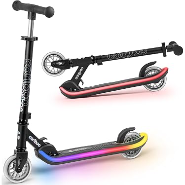 Razor Pro X Stunt Scooter – Monopattino Acrobatico Professionale Con Manubrio Fisso, Ruote 100mm, Pedana Alu, Per Ragazzi