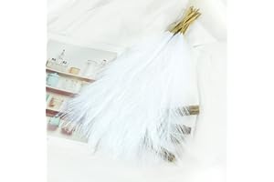 HAOSHICS 10 piante artificiali di pampa essiccate, fiori finti di erba della pampa, soffici bouquet di canne, decorazione per matrimoni, vacanze, feste, bohémien, decorazione per la casa (bianco)