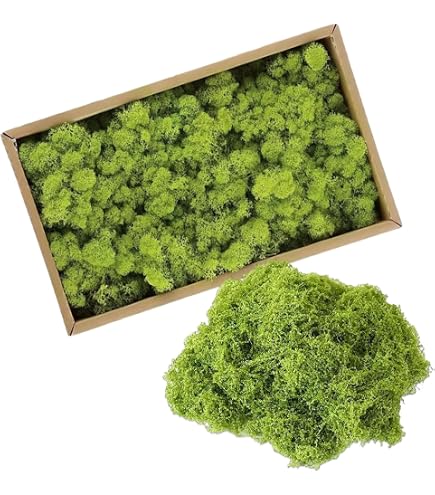 300g Muschio Stabilizzato Per Decorazioni – Verde Chiaro, Verde E Verde Scuro, Finto E Morbido, Per Terrari, Presepi, Matrimoni E Fai-da-te, Senza Manutenzione