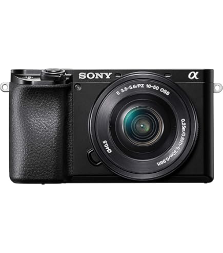 Sony α6300 + SELP1650 Sony SELP1650 Standard-Zoom-Objektiv schwarz: Amazon.de
