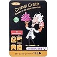 The Purple Cow Crazy Scientist LAB Crystal Craze Science Kit