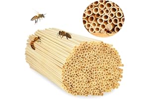 CHONGQILAO 500 STK Nisthülsen für Insektenhotel, 14.5 cm lang Nisthülsen für Wildbienen, Insektenhotel Füllmaterial Wildbienen Zubehör, Weizenhalme Füllung für Wildbienenhotel, Bienenhotel Nisthilfen Bienenhaus