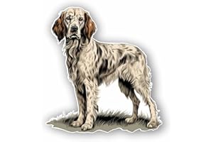 AMA SHOP Adhesivo moldeado inglés estilo vintage | Pasión Caza | Pegatina para casco, moto, caravana, barco | AutoTuning |