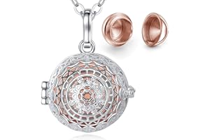 CELESTIA Collares Conmemorativo de la Cremación Urna de Ceniza, Plateado Medallón Colgante para Cenizas, Joyería Recuerdo de Gatos Perros