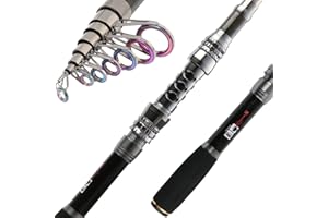 Sougayilang Canne à pêche pliable télescopique avec moulinet pour adultes, enfants, voyage, eau douce