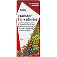 Floradix Liquid Iron and Vitamin Formula Food Supplement 250 ml