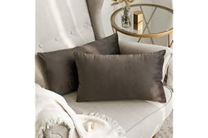 MIULEE Confezione da 2 Federe in Velluto Copricuscini Decorativi Fodere Quadrate per Cuscino per Divano Camera da Letto Casa30X50cm Bruno