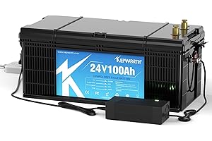 DEESPAEK Akumulatory głębokiej pracy cyklicznej LiFePO4 z 100 Ah 24 V , kumulatory litowe głębokiego rozładowania, idealny do łodzi, obozowicz, do trollingu, kosiarki, Energetyka słoneczna i wiatrowa (24 V 100 Ah +ładowarka)