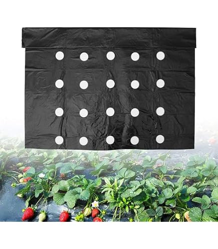 Wohohoho Tessuto Paesaggistico Antierba 3x10 Mt - Barriera Per Erbacce In Polipropilene, Traspirante E Resistente, Ideale Per Aiuole E Viali - 4