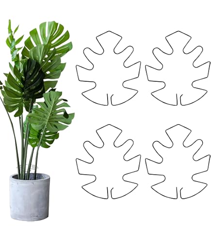 2 Stck Monstera Rankhilfe Pflanzensttze Monstera Pflanzen Halter Pflanzen  Sttze Staudenhalter Pflanzenhalter Zubehr fr Den Pflanzenanbau Zimmer  und Gartenpflanzen(Schwarz und Gold) : Amazon.de: Garten