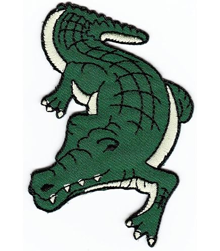 Finally Home Écusson Thermocollant | RAINBOW FIST, ARC EN CIEL LGBT