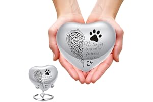 QGJNSGC Heart Shaped Urns for Human Ashes - Small Urns for Pet Ashes Heart Shaped Urn for Cat Dog Ashes Mini Urn - Small Keepsake Urn Cat Urn Dog Urn (Silver Wing)
