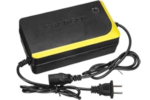 MYAMIA 48V 20Ah Batería Cargador Eléctrico Moto Ácido De Plomo Batería Equipos De Carga