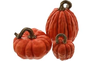 khevga Decoración de otoño calabazas decorativas en conjunto (naranja)