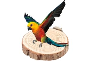 PSSOPP Okrągła Drewniana Trampolina Papuga Okonie Stojak Zabawka Ptak Papuga Okoń Platforma dla Małych Papug Nimfy Chomik(10cm)