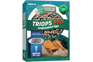 GREEN WATER FARM Greenwaterfarm Triops Red Longicaudatus Eggs for Hatching and Culture Suitable to be Pet and Science Project (Pure 200 Eggs)