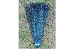 BULZEU 10Pcs Pheasant Tail Feathers for Craft or Decoration