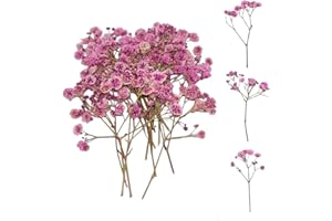 Ruzister 50 Stück Trockenblumen, kleine Baby Atem Blumen, echte Natur, rosa und zart, für DIY Kerze, Harz, Schmuck, Nagelkunst, Kunsthandwerk Schleierkraut