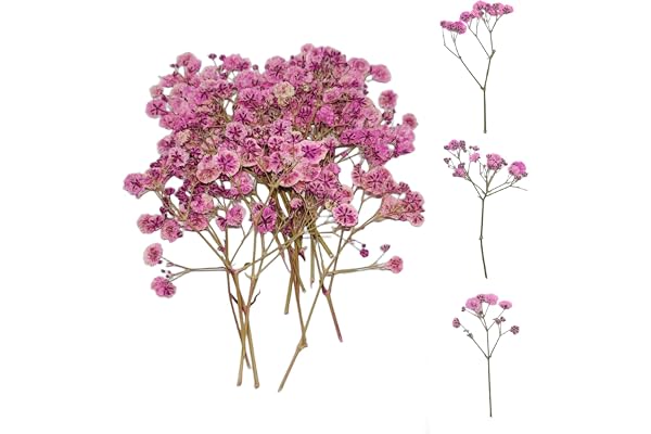 Ruzister 50 stycken torkade blommor, små babyandningsblommor, äkta natur, rosa och delikat, för gör-det-själv-ljus, harts, smycken, nagelkonst, hantverk, slöjkål