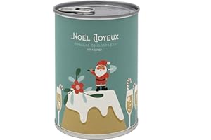 MAUVAISESGRAINES-KITS À SEMER Mauvaises Graines - Noël - Kit de Plantes à Semer en Boîte - Kit de Culture à Offrir comme Cadeau Original Amis Famille Fêtes - Ultra Simple à Utiliser - 100% Fabriqué en France (Noël Joyeux)