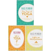 Light On Yoga By B.K.S. Iyengar – The Classic Yoga Bible In Very Good Condition 7 thumbnail image