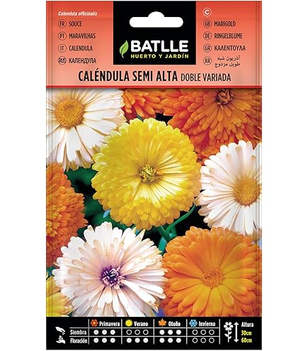 Begonia 400 Pezzi Bouquet Di Margherite In Filtro Per Pipe – Blu | Composizioni Fai Da Te Per Bomboniere